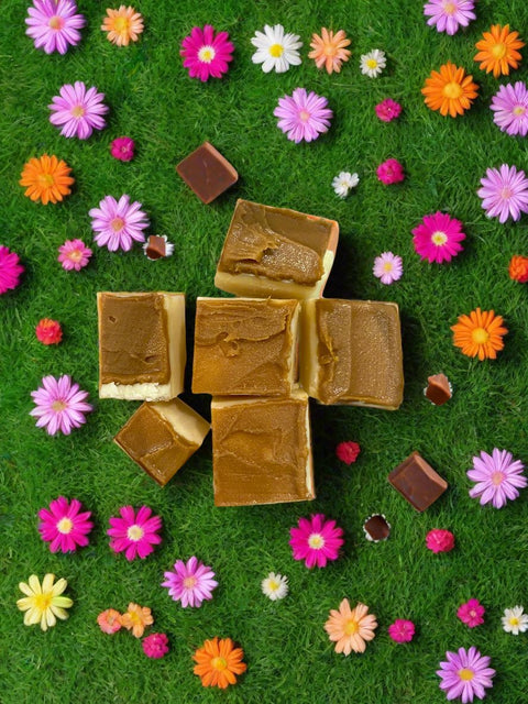 Biscoff Fudge